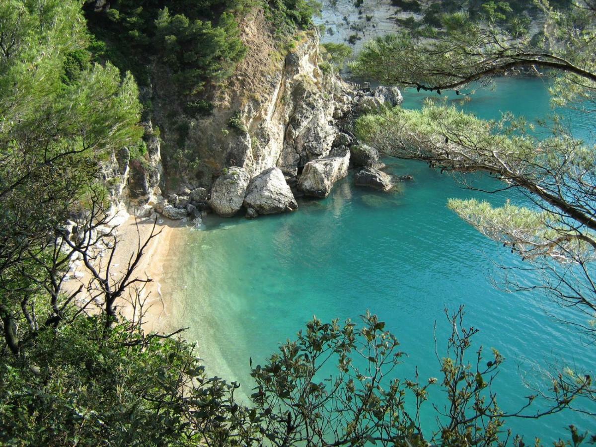 Casa Ricciotto Daire Vico Del Gargano Dış mekan fotoğraf